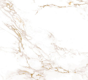 Dekton Entzo