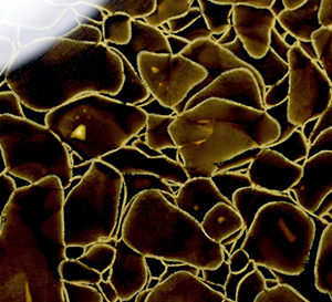 Glaskeramik BROWN CHAMPAGNE