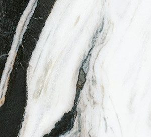PANDA WHITE