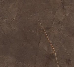 PULPIS BROWN